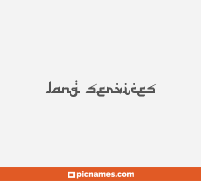 Lang Services